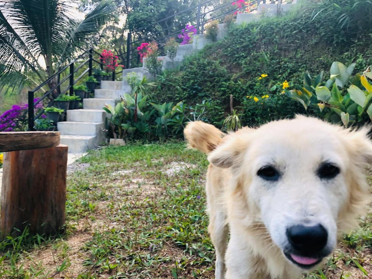 Baanhatsompaen Homestay Ranong Exteriér fotografie