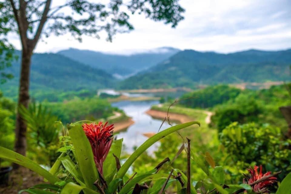 Baanhatsompaen Homestay Ranong Exteriér fotografie